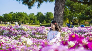 Photo of Woman Sitting In The Middle Of Flower Field