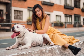 Photo of Woman Sitting on Concrete Barrier Next to Short-coated White Dog