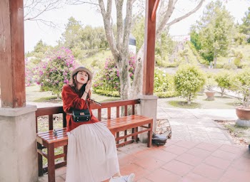 Photo of Woman Sitting on Wooden Bench