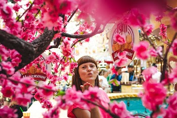 Photo of Woman Standing and Making Flying Kiss by Blooming Pink Cherry Blossoms