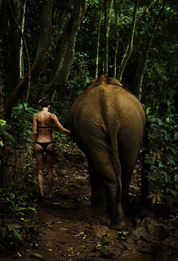 Photo of Woman Standing Beside Elephant