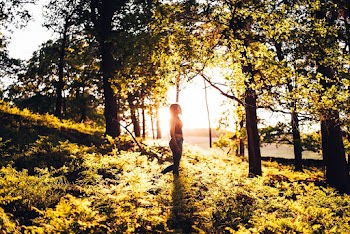 Photo of Woman Standing in Forest