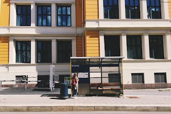 Photo of Woman Standing in Waiting Shed