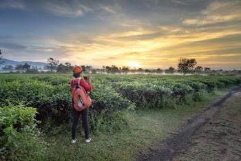 Photo Of Woman Standing Near Bushes