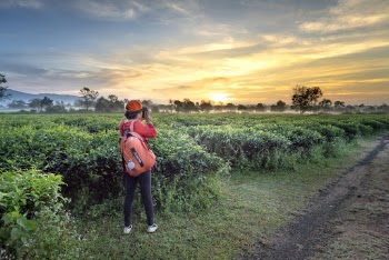 Photo Of Woman Standing Near Bushes
