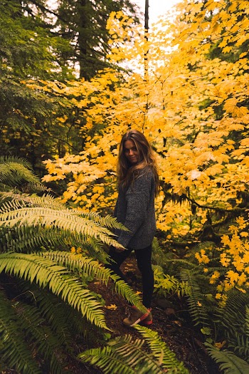 Photo Of Woman Standing Near Yellow Plants