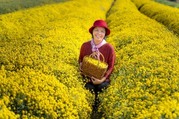 Photo Of Woman Standing On A Flower Field