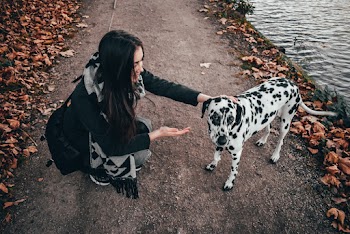 Photo of Woman Touching A Dog