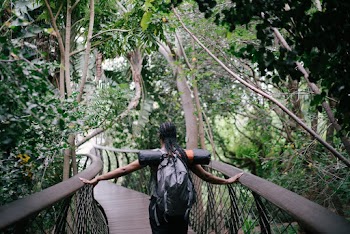 Photo Of Woman Walking On Bridge