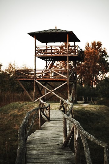Photo of Wooden Bridge