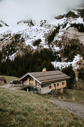 Photo of Wooden House Near Trees
