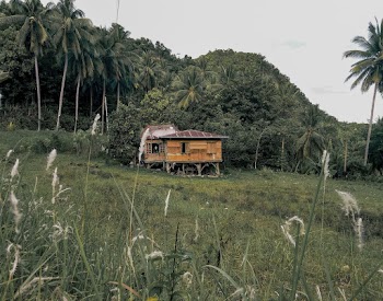 Photo of Wooden House Near Trees