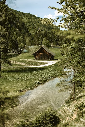 Photo of Wooden House Near Trees and Grass