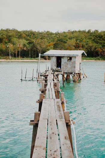 Photo of Wooden Planks Going to Shack