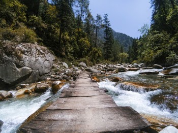 Photo of Wooden Planks on River