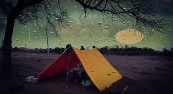 Photo of Yellow Tent