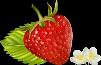 Photo-realistic vector illustration. Strawberry with flowers.