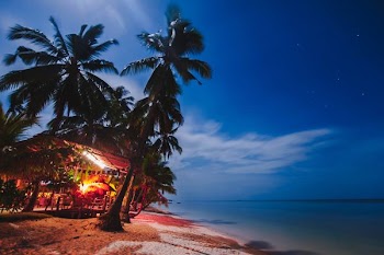 photo showing beach shore during night