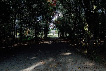 Photo Unpaved Pathway Near Trees