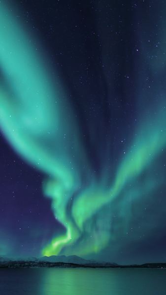 photograph of aurora lights