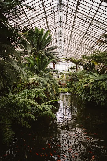 Photograph of Greenhouse