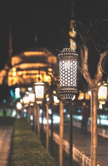 Photograph of Lined Post Lamps during Nightime