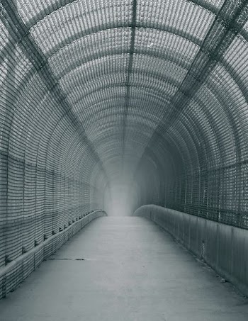 photograph of pathway