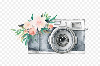 Photographer Erin McDevitt Photography Wedding photography - photographer 