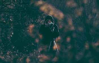          Photographer in Forest Man Free Photo     