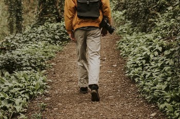 Photographer walking in the woods | Free Photo - rawpixel