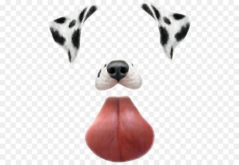 Photographic filter Snapchat Clip art - snapchat 