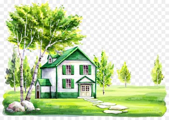 Photographic studio Photography Child Wallpaper - Green Home 