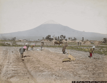 Photography album, images of JapanOriginal | Free Photo - rawpixel