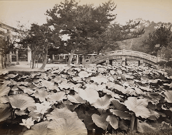 Photography album, images of JapanOriginal | Free Photo - rawpixel