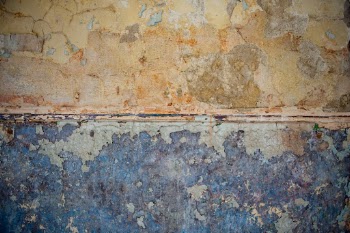 Photography backdrop 006