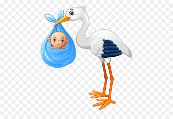 Photography Ciconia Illustration - Cartoon cute baby painted stork Diao 