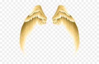 Photography Clip art - Golden wings 