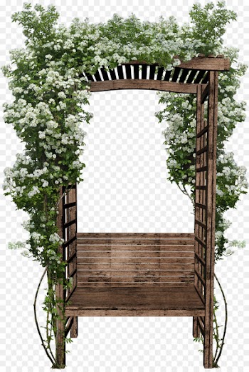 Photography Clip art - Wooden chairs 