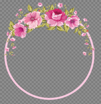 Photography Flower Border Flowers Stock Download HD PNG