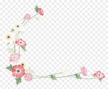 Photography Flower Clip Art - Flower Border Png