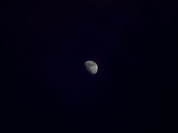 Photography Half Moon