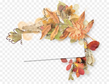 Photography Image Maple leaf Centerblog - autumn gold 