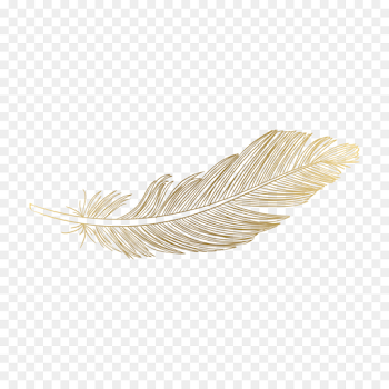 Photography Image Portable Network Graphics Feather 0 - gold feather