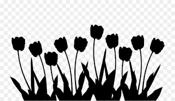 Photography Image Tulip Birthday -  