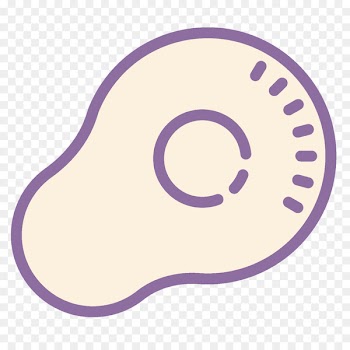 Photography Image Video Hashtag - egg icon 