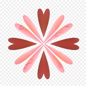 Photography, Interior Design Services, Computer Icons, Pink, Petal PNG