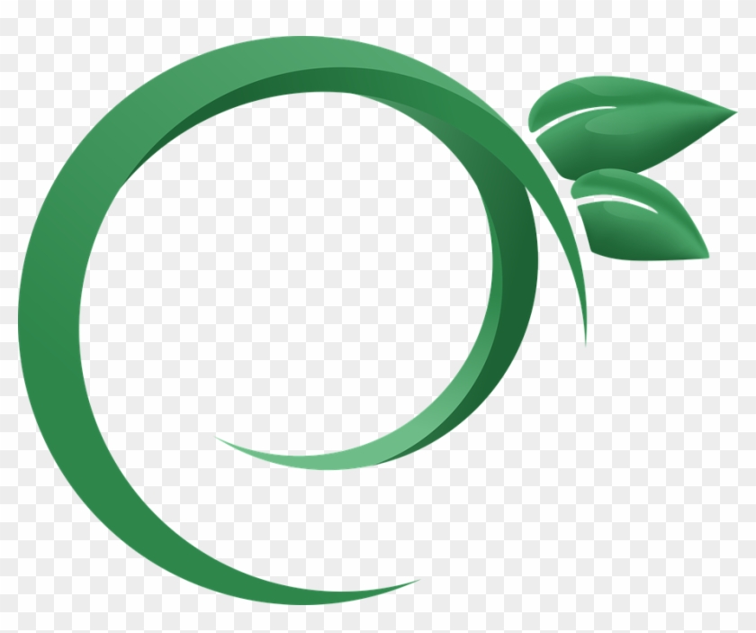 Photography Logo Vector Free Download Png - Logo Daun
