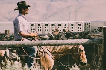 Photography of a Person Riding Horse