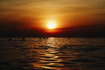 Photography of Beach Sunset