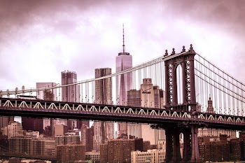 Photography of Black Steel Bridge